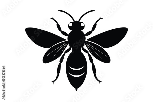 vector illustration of a butterfly