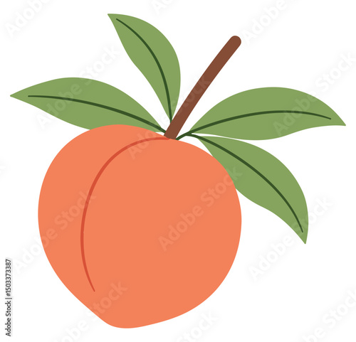 Peach whole fruit with leaves isolated on a white background. Cartoon icon for package design. Vector illustration of tropical fruits in flat style