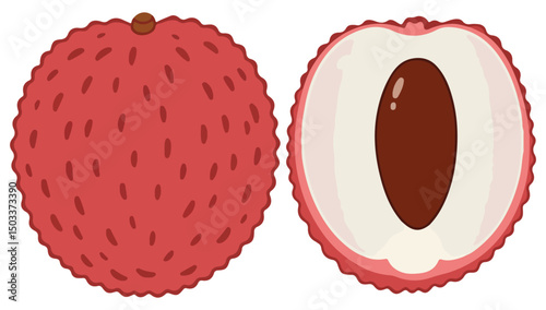 Lychee whole fruit with leaves isolated on a white background. Litchi chinensis cartoon icon for package design. Vector illustration of tropical fruits in flat style