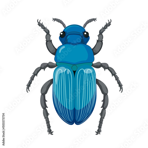 blue beetle without background vector