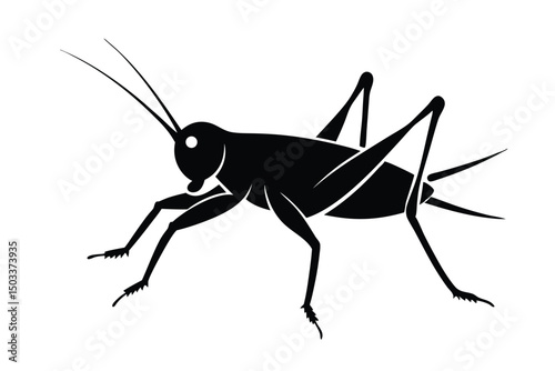 praying mantis isolated on white background