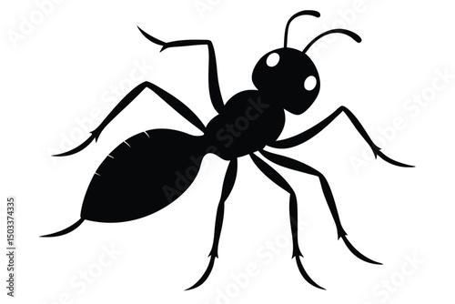 ant isolated on white background
