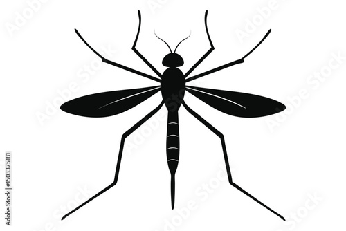 dragonfly vector illustration