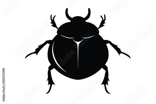 colorado potato beetle