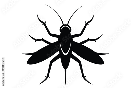 black and white beetle