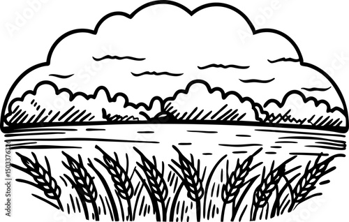 black and white ink landscape of wheat field and cloudy sky with trees
