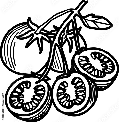 Vintage tomato illustration whole and sliced tomatoes on the vine, black and white drawing
