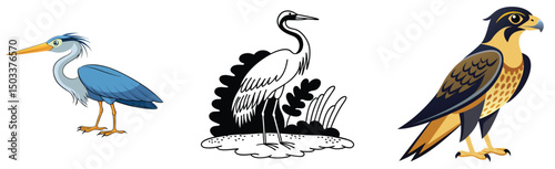 Assortment of cartoon birds heron crane and falcon illustration collection vector design