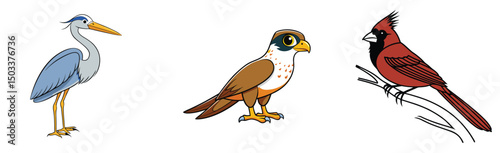 Cartoon bird collection featuring heron peregrine falcon and cardinal isolated on white background