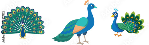 Cartoon peacocks vector illustration elegant exotic birds with colorful plumage standing posing