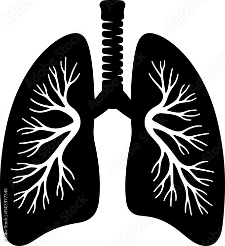Human Lungs Silhouette vector
