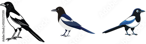 Set of magpie bird illustrations in white and color variations simple style