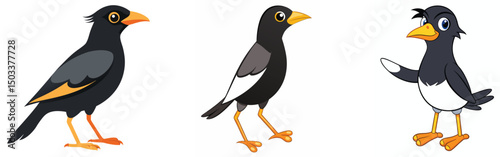 Three cartoon myna birds posing side by side isolated on a white background vector illustration