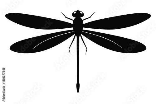 dragonfly isolated on white