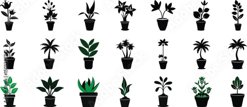 Collection of various houseplants and decorative potted plants silhouetted on white background