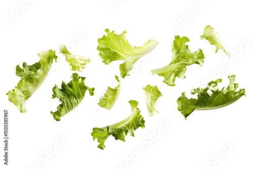 Fresh green lettuce leaves falling on black background