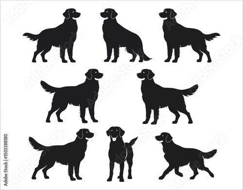 Golden Retriever Bundle – Dog Lover Design Set