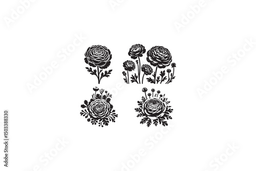 Ranunculus Flower vector silhouettes image made by adobe illustrator. eps