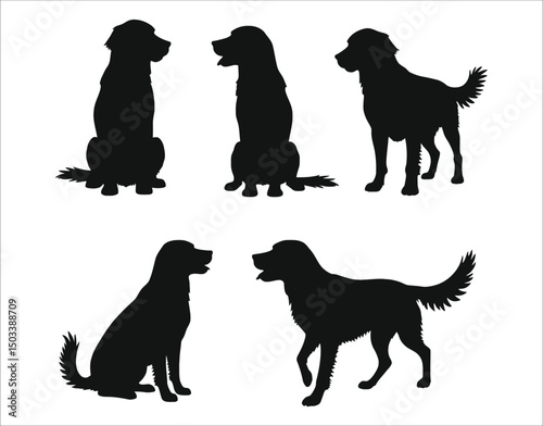 Golden Retriever Graphic Set – Minimal Pet Art