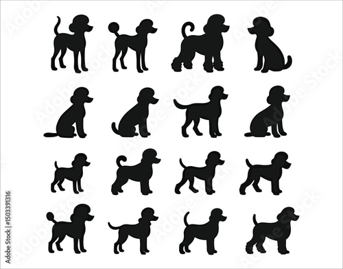 Black Poodle Silhouettes on White Background – Vector Bundle