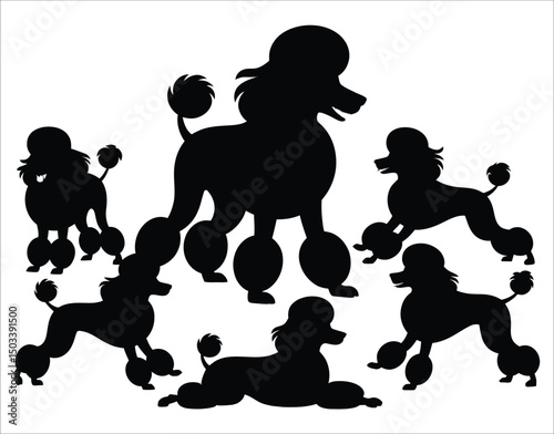 Clean Vector Silhouette Set of Fluffy Poodle Dogs