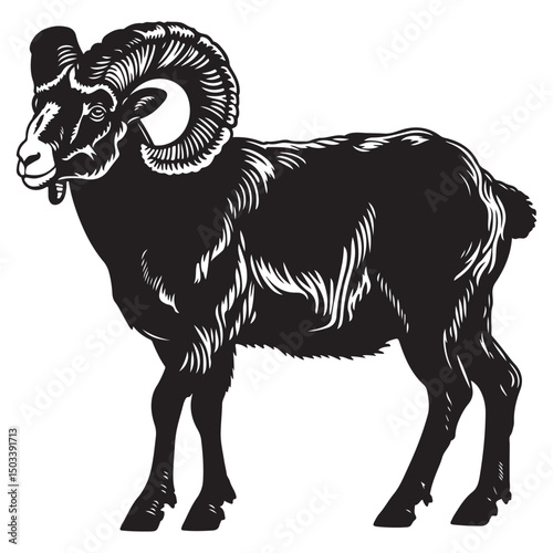 Bighorn sheep silhouette vector, Majestic ram silhouette
