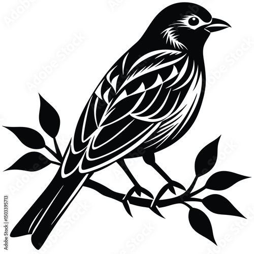 Black Silhouette of a Bird Sitting on a Branch