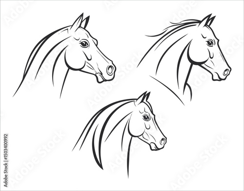 Clean Line Horse Head Bundle