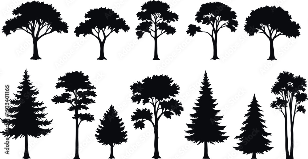 Fototapeta premium Silhouettes of diverse tree species in various shapes and sizes