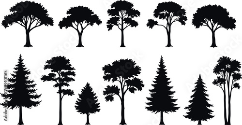 Silhouettes of diverse tree species in various shapes and sizes