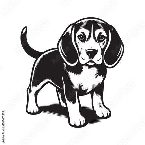 Silhouette Beagle Dog Black Vector white background illustration Style 