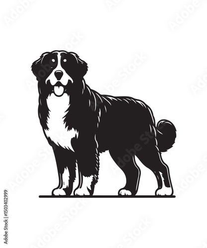 Silhouette Bernese Mountain Dog Black Vector white background illustration Style 