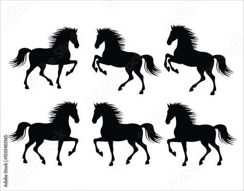 Horse Pose Silhouette Set
