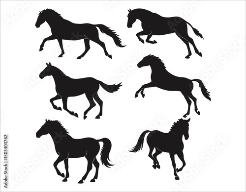 Wild Horse Vector Bundle