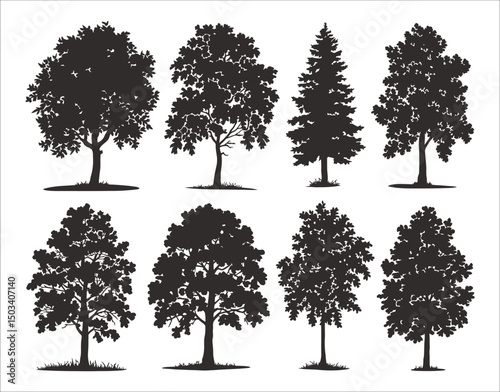 Birch Tree Silhouette for Sublimation