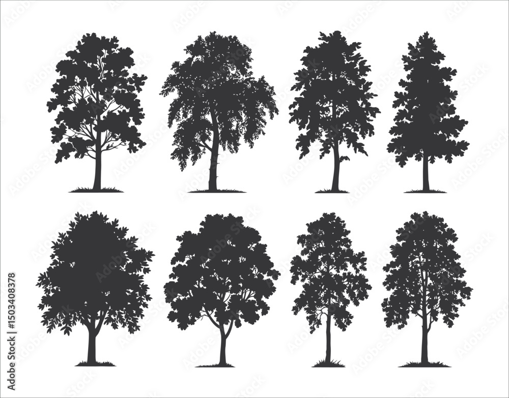 Fototapeta premium Hand Drawn Birch Tree Silhouette Clipart