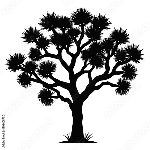 silhouettes of trees