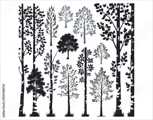 Modern Birch Tree Silhouette Drawing