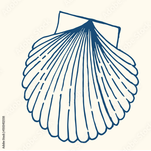  Set of hand drawn seashells drawing ink. Minimalist line art. Summer vacation design elements for trendy prints, label, menu cover. Tropical beach shells. Vector flat illustration.