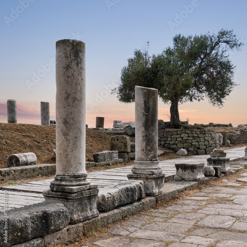 Ταπετσαρία Ancient columns and the paved road known as Via Tecta stand as testament to Pergamon's past glory at its ruins in Bergama, Turkey