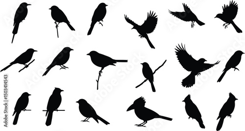 Black Bird Silhouettes: Diverse Songbirds & Small Birds Perched on Branches & Flying. Avian Wildlife Vector Icon Set. AI Generative
