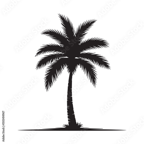 palm tree silhouette