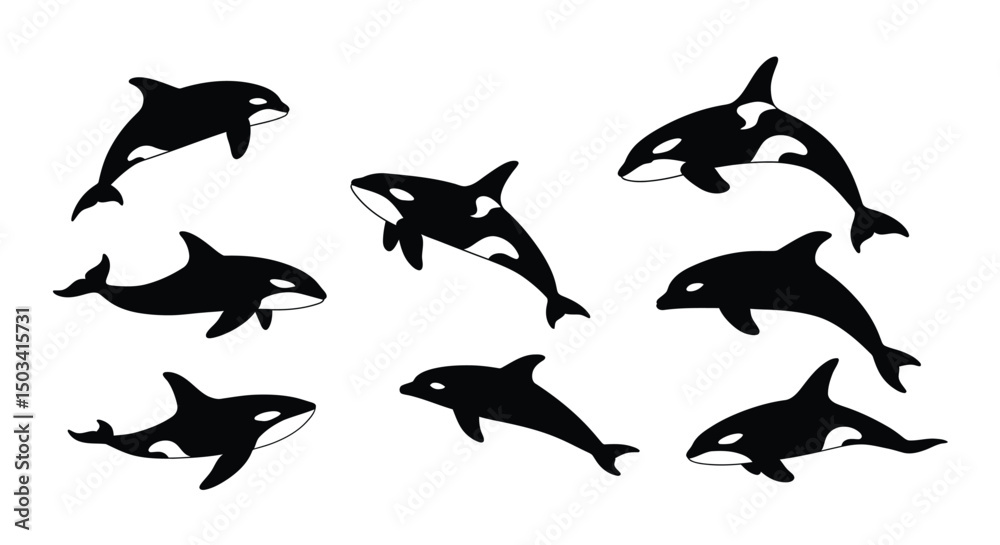 Fototapeta premium Collection of Orca (Killer Whale) Illustrations: Marine Mammals with Markings in Various Poses. Sea Life Vector Set. AI Generative 