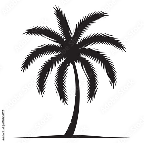 palm tree silhouette