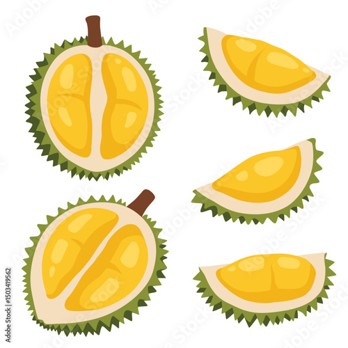 durian vector logo isolated on white background.	