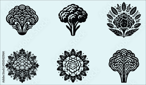 Vibrant Cauliflower Vegetable Floral Design Illustration