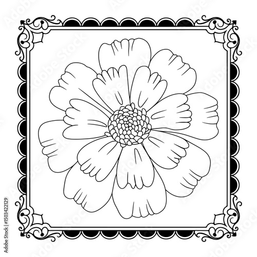 White flower shown on both white and black backgrounds with floral and nature elements