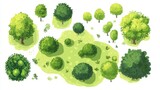 Various trees and shrubs, top-down view