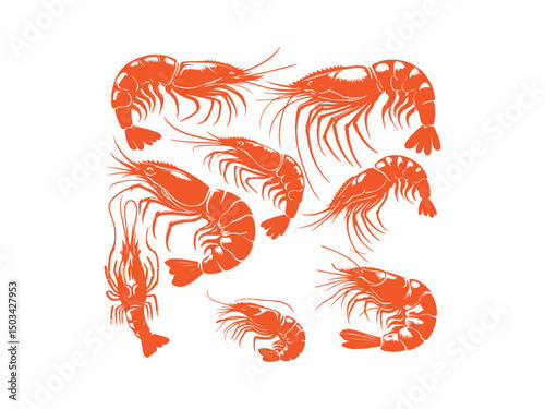 vector illustration of shrimp set