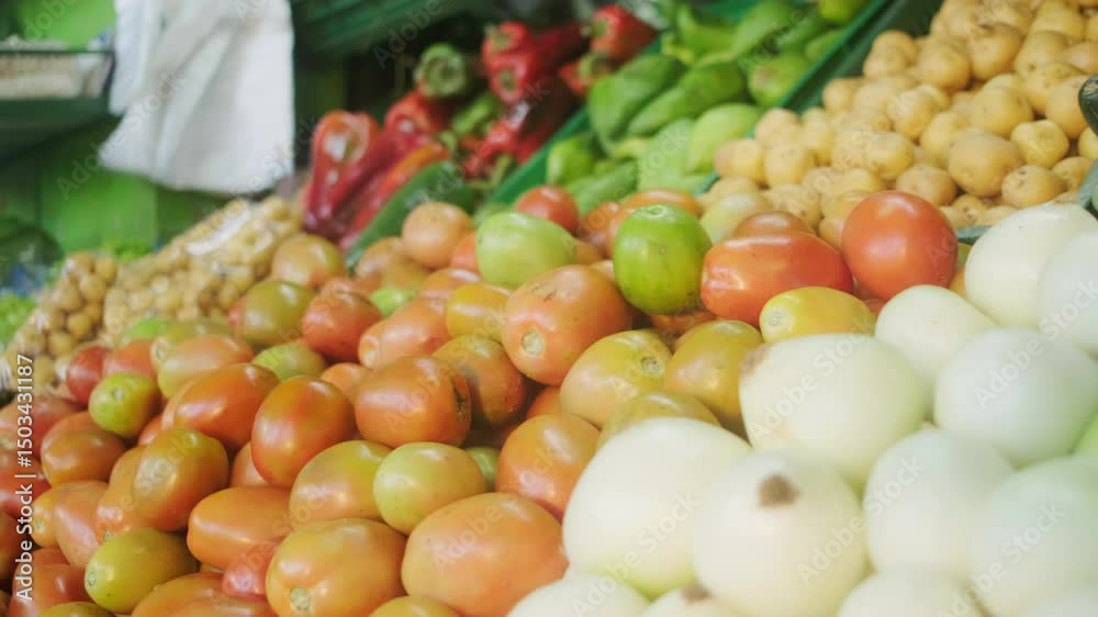 Paneo sobre vegetales tomates cebolla pimientos en mercado campesino